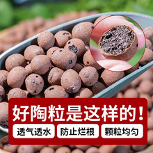 大颗粒陶粒养花专用花盆垫底陶土水培无土栽培多肉种植养花铺面石