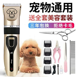 理发器;卷发/直发器;电动剃须刀