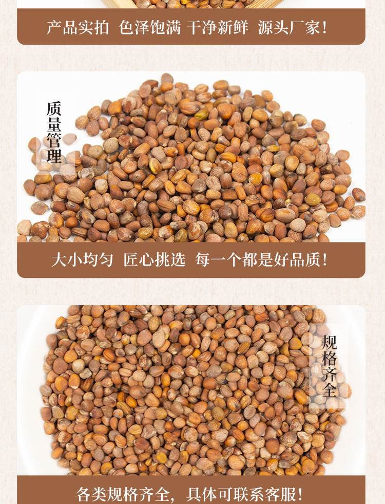 Dried Raphanus Seed Lai Fu Zi 500g Whole Radish Seeds for Herbal Decoction and Tea specifications