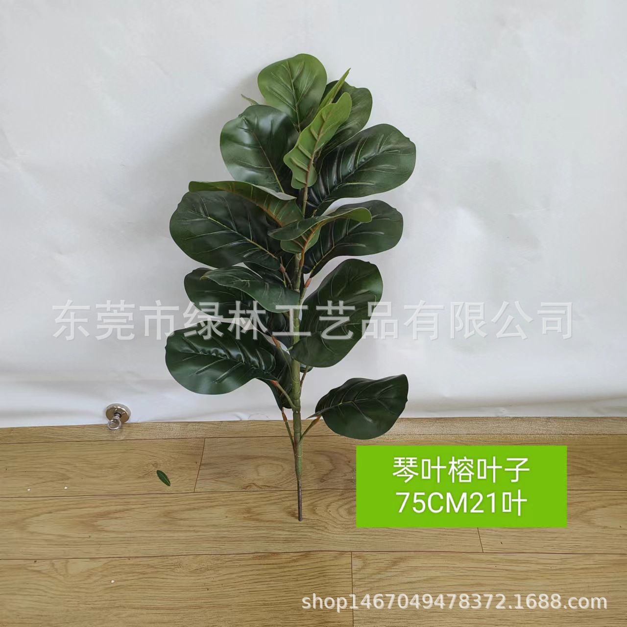 75cm21 잎