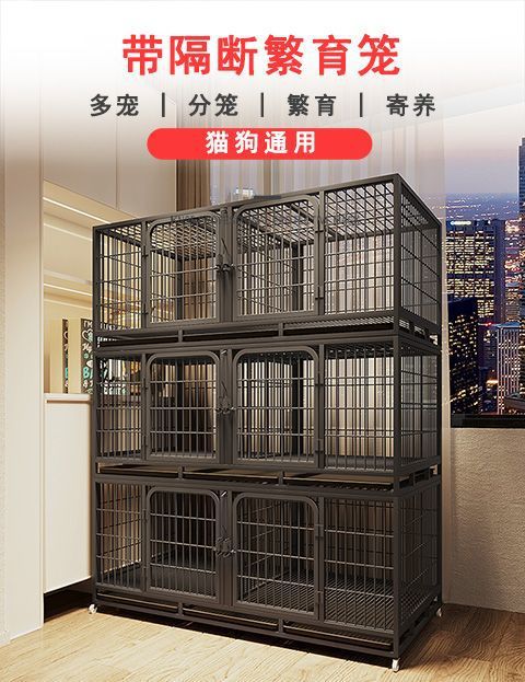 8f3624a0-245f-4633-bd26-4d03b8da5b81.jpe