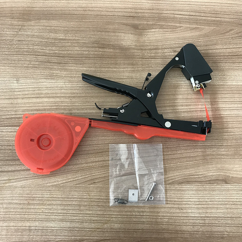 64286905-ef39-4aef-a2a1-c7d777