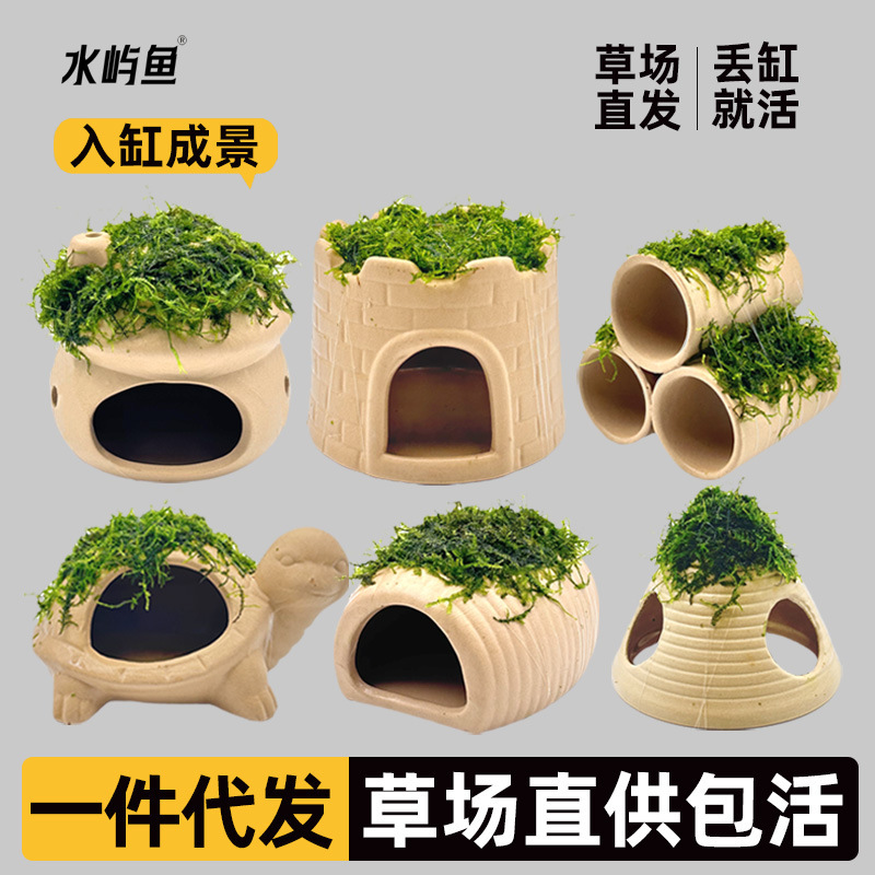 Fish Tank Moss Pottery Pot Water Plant Landscaping Real Plant Fish and Shrimp Shelter Tank Shrimp House Small Ornaments Small Fish Breeding Shelter House Fish Tank Moss Pottery Pot Water Plant Landscaping Real Plant Fish and Shrimp Shelter Tank Shrimp House Small Ornaments Small Fish Breeding Shelter House