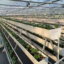 pvc���ˮ�ۏS��������ˮ��U����ˮ�܄e����플�ˮ�۷Nֲ�ۻ���