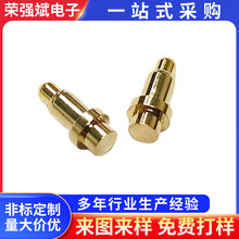 ��늏�� �{����늏��� �������늏���� ���ɳ��pogopin