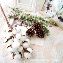 �S�����lľ�޻� �����ɻ��������滨�}�Q�b[���廨DIY�����