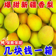 �t������10�����rˮ�����摪����������5������֭Ƥ�����Ӱ��]