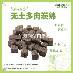 ����̿�d�o������������|���d���B����K�Nֲ̼�ޠI�B����������