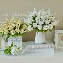 ���滨��5�^�Pβ�m  ̫ꖻ������ٻ��@���b�Y�[�����Sֱ�N