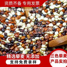 批发云南三色藜麦 高原品质藜麦米杂粮龙牙米烘焙胚芽米黎麦