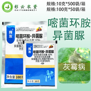 �|�Γ]��60%�׾��h��������ɝ��Էۄ����ѻ�ù���rș������