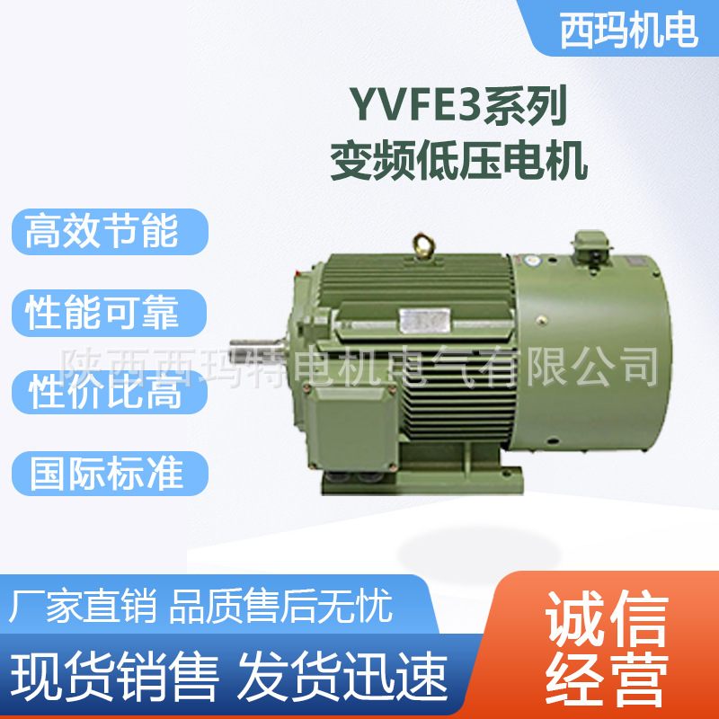 西安西玛电机YVFE3-3551-2极355KW 660V大外圆变频三相异步电动机