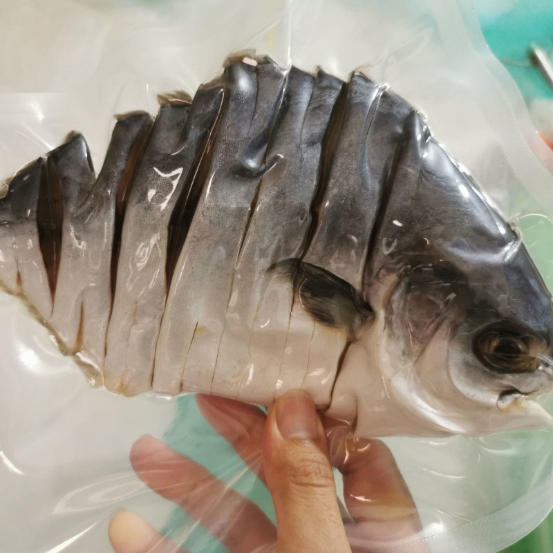 초대형 물고기 2마리 [1개 0.35-0.4kg ]