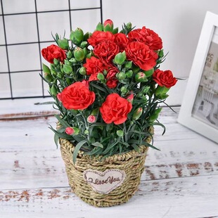 ����ܰ�r������ʯ���ļ��_���������̨ͥԺ�͏d���նY��Gֲ����