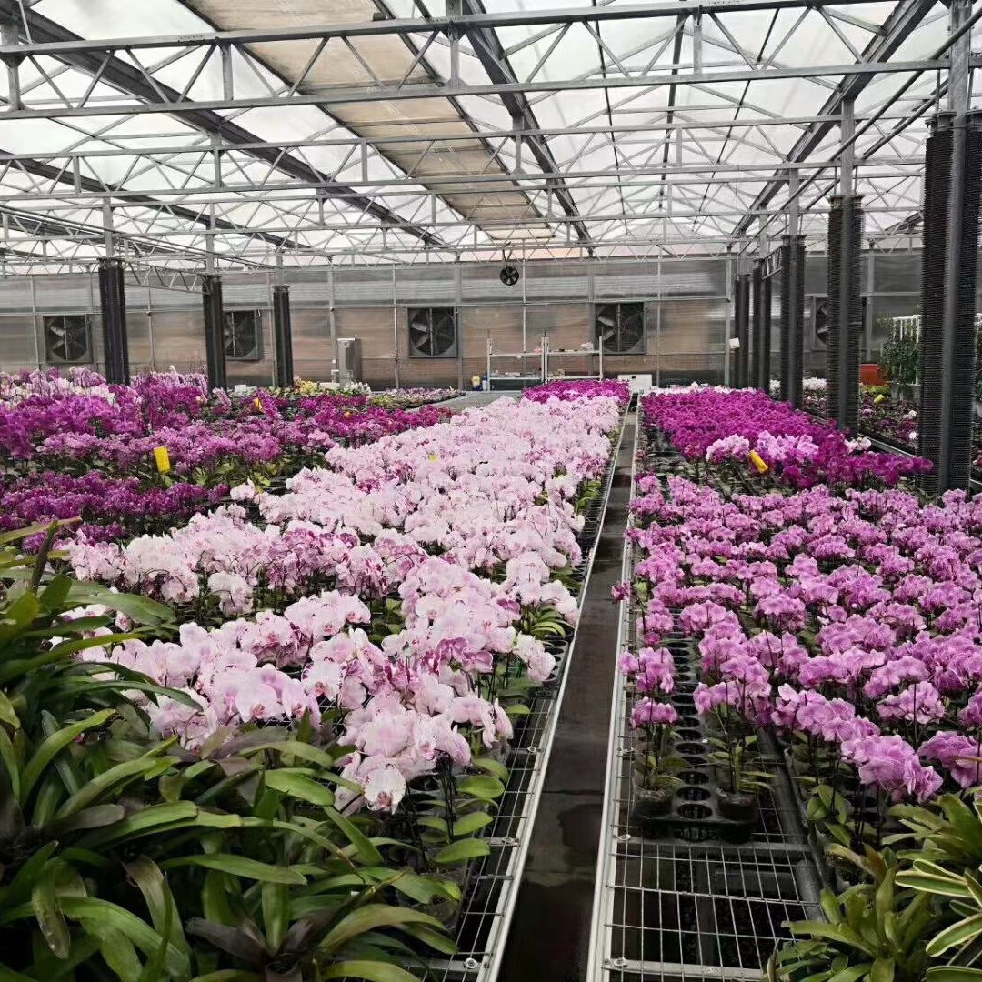 Fábrica directa de invernadero PC tienda de campaña de cultivo de peces sistema de plantación de verduras orgánicas sombra solar