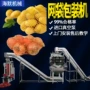 定制自动尼龙土豆包装机