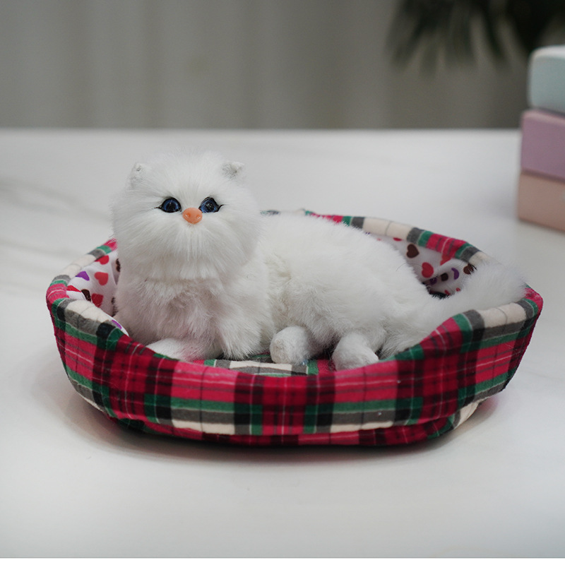 둥지와 페르시아 거짓말 고양이 전화