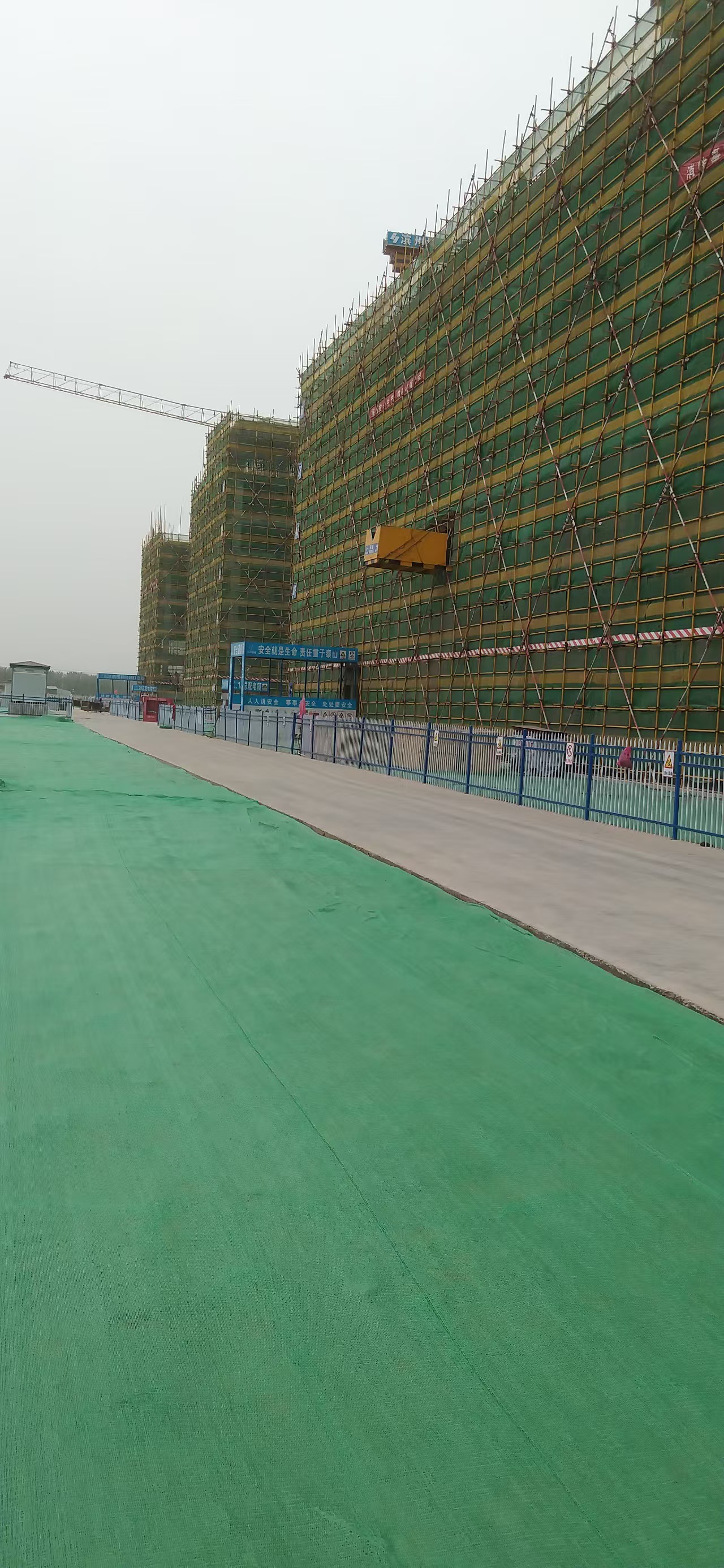 微信图片_20250611150803