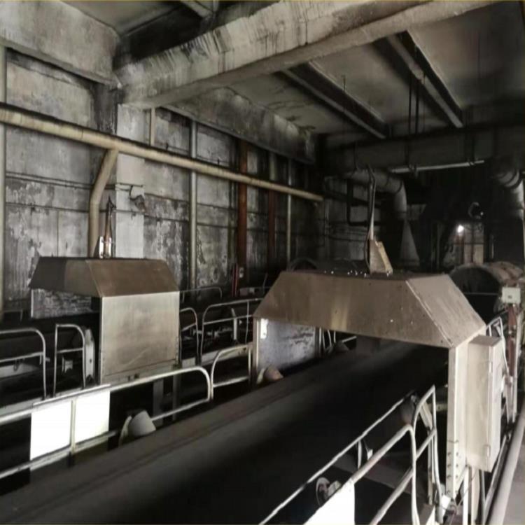 在线式煤灰分测定仪 型号:DTK-NHIII  库号：M333572