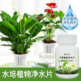 防虫防蛀;沐浴球浴擦;化妆镜