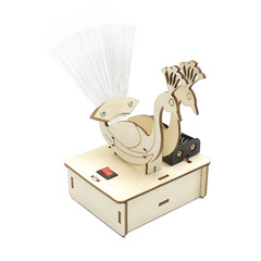 Tech Mini-Making Small Inventions Handmade DIY Materials Peacock Fan Science Experiment Primary and Middle School Homemade Works