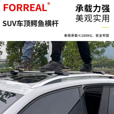 rail luggage rack car roof: Car bike rack