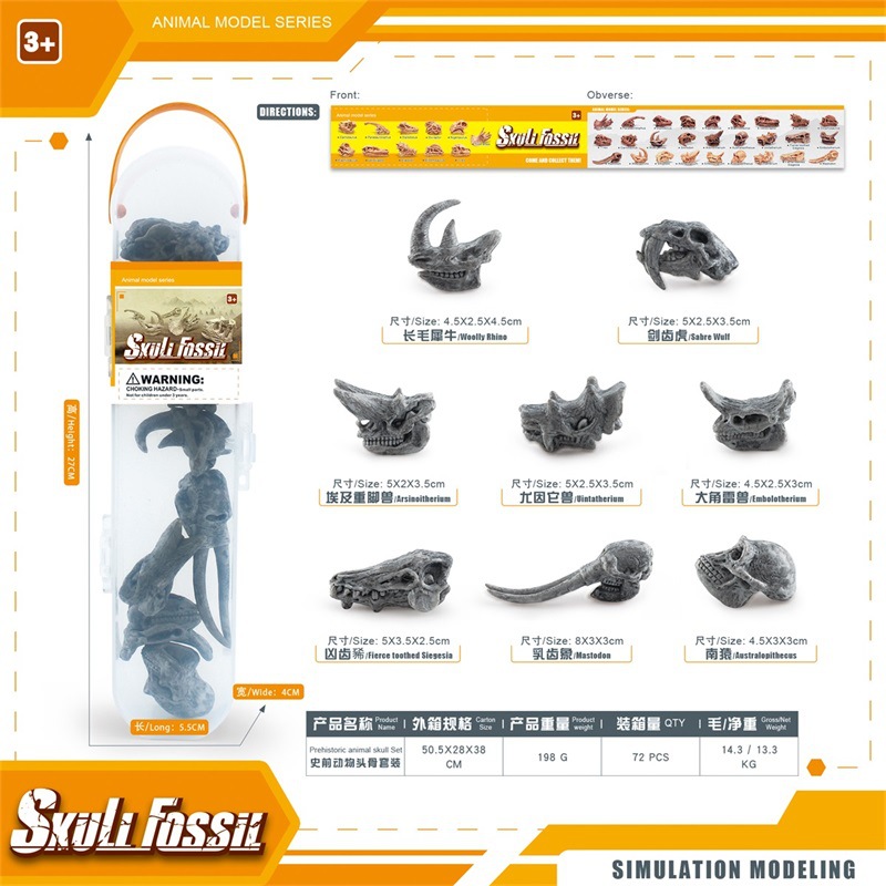 Simulación transfronteriza mini cráneo de dinosaurio modelo de cráneo animal prehistórico esqueleto traje fósil adornos estáticos enlatados