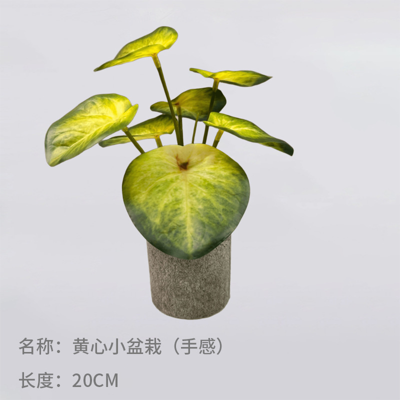 Simulación nórdica Planta verde Tortuga espalda hada Taro Escritorio Bonsai Sala de estar Hogar Decoración del suelo Decoración Decoración Paisaje de plantas falsas