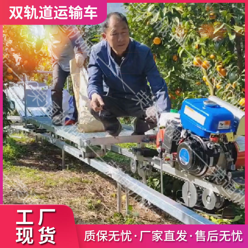 养殖场双轨道作物搬运车 山地爬坡多功能小车息挂输送机