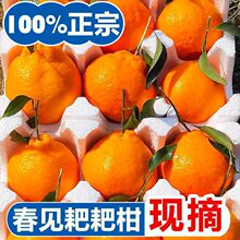 �����Ĵ��ҰҸ�����������Ҋ�ҰҸ�ˮ�����r�Fժ�ҰҸ̷��ָ�