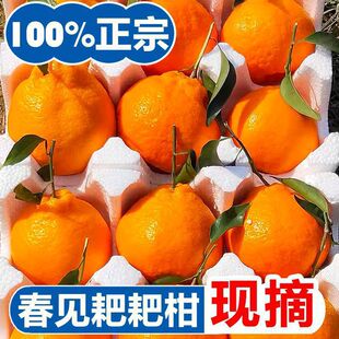 �����Ĵ��ҰҸ�����������Ҋ�ҰҸ�ˮ�����r�Fժ�ҰҸ̷��ָ�