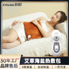 德国2026新款彩阳电暖艾灸宝十档控温电加热艾绒暖艾盐护膝宝发热