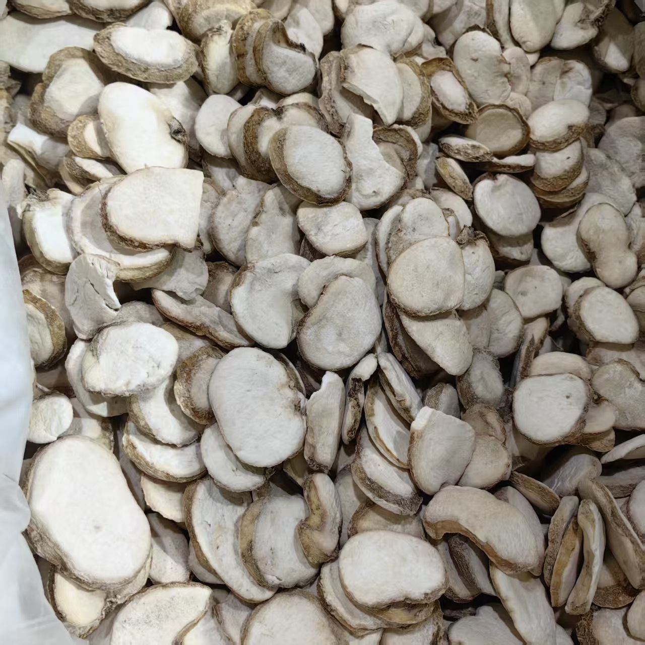 Zhejiang Fritillaria Bulb Powder Zhe Bei Mu 500g Traditional Herbal Ingredient quality and texture