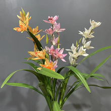 �Ї�ޥ�m���滨�ٻ���֦2�控�~3D�ָд�ޥ�m�Ҿ��҃��b����l