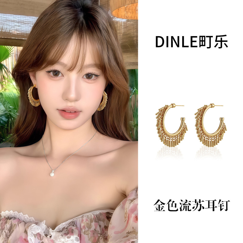 S925银针欧美夸张流苏耳环女高级感轻奢百搭简约气质耳圈耳饰批发|undefined