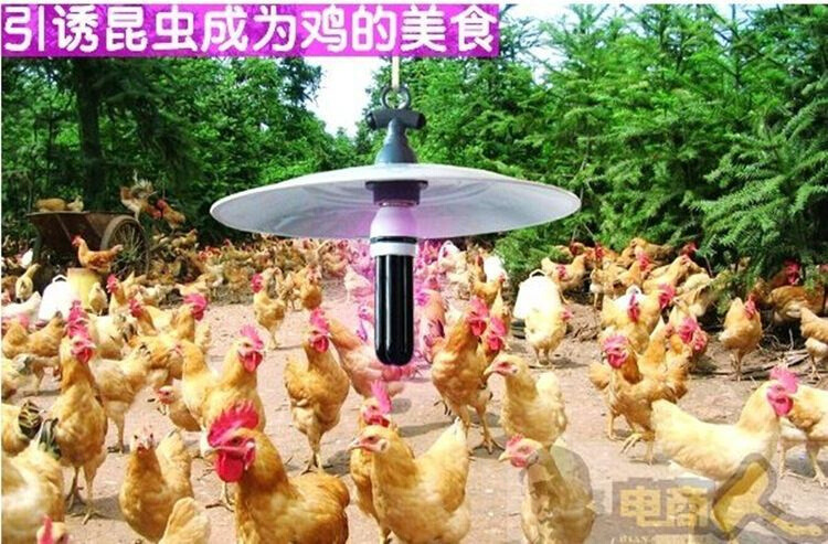 O1CN01wwVZa42IZuZ3TYt0P_!!2209