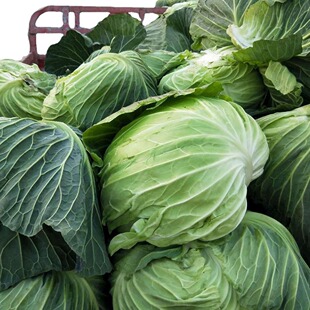 �S�ҹ��� ���r���^�ˣ����{ �gӭ��ԃ �gӭ�����xُ