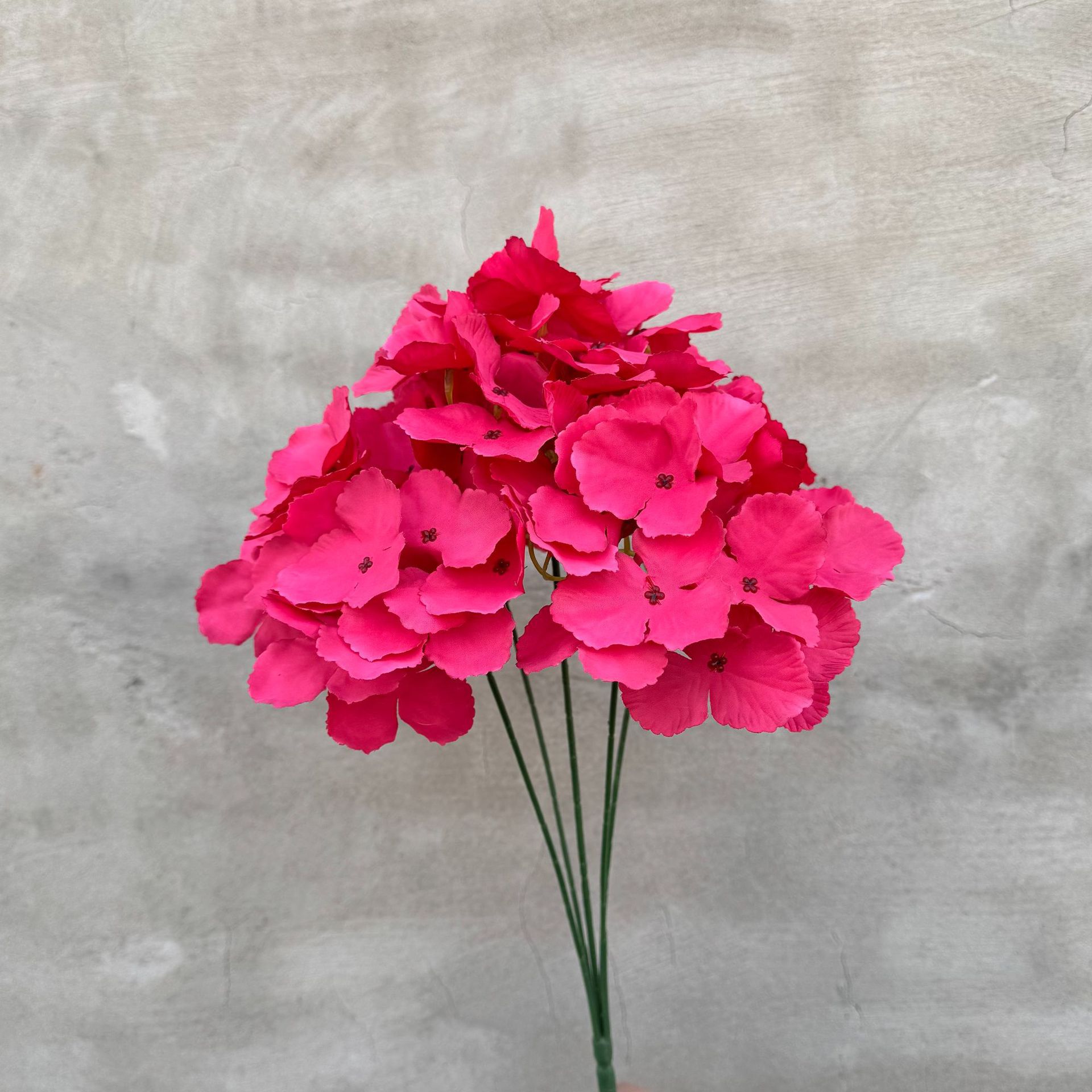 ไฮเดรนเยีย 5 แฉก - สีแดงกุหลาบเข้ม