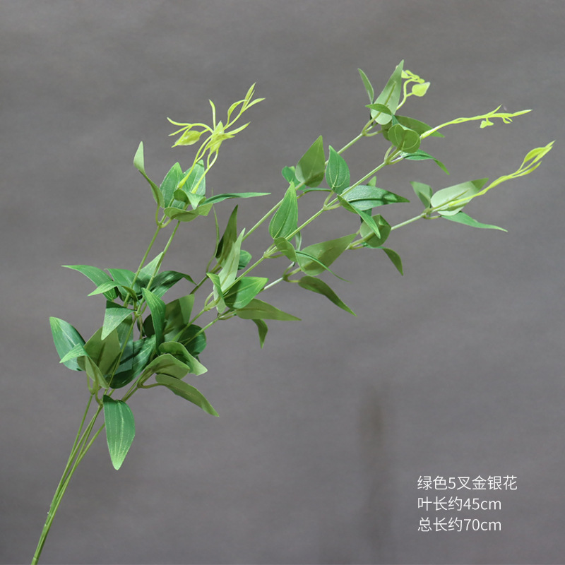 녹색 다섯 갈래의 인동덩굴 가지