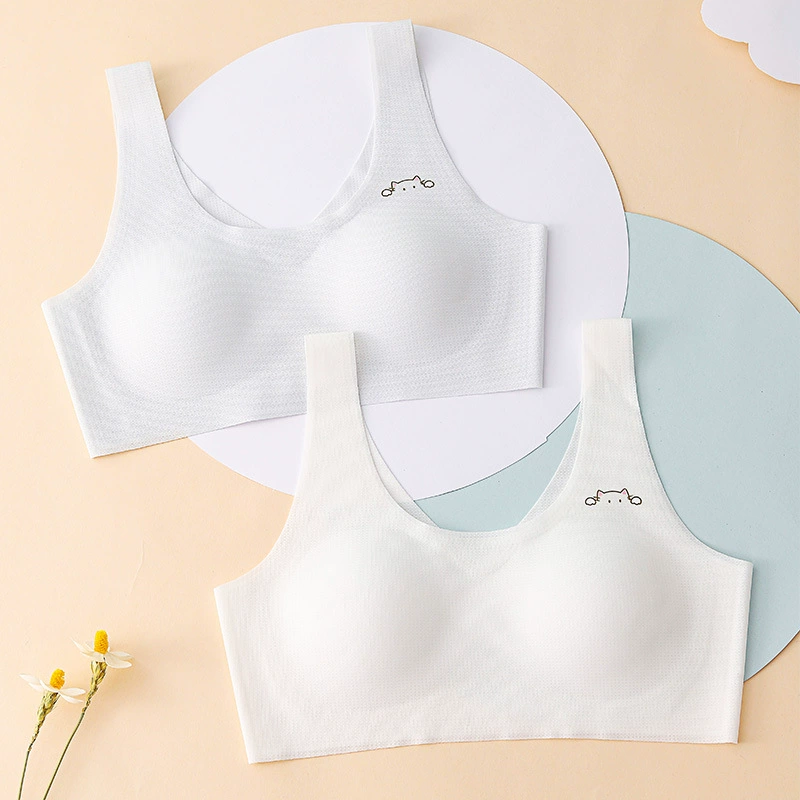 Поя underwear? - перевод accurately: Underwear, spring bra top for elementary school students, for secondary school, pregnant