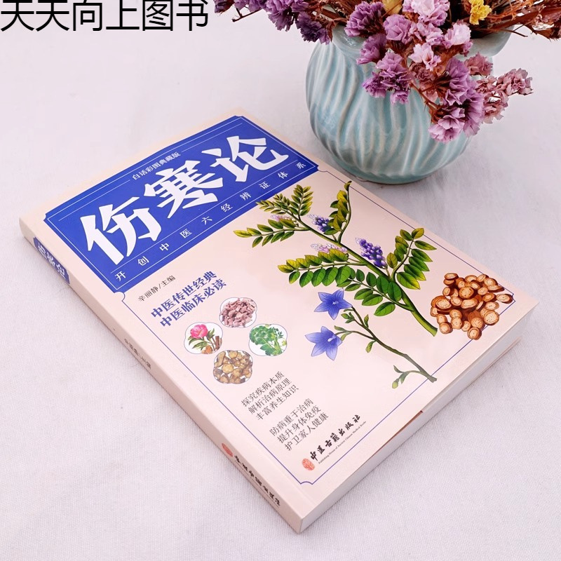 張仲景のイラスト入り『熱帯性ジスティス論』、白話中国語の伝統的な中国医学の臨床知識の独学入門書