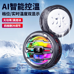 AI智能温控四档调节七彩灯效磁性背夹可关灯