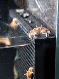 ����з������С�з�����Q�����������ʳ��Ͷι