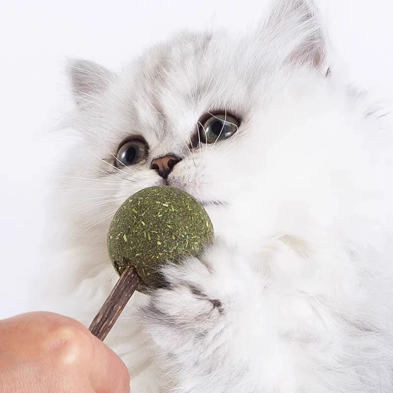 Палочка для прорезывания зубов для кошек, дерево, мячик с мятой, игрушка для кошек, палочка для кошек, устойчивая к укусам, принадлежности для кошек, игрушки, закуски для кошек