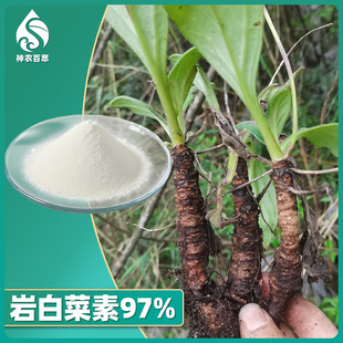 �Ұײ���97% �Ұײ���ȡ�� �Ұײ˃��� Bengenin ������ ��������
