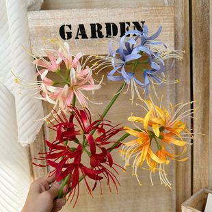 �L���m ����ɳ�A ��֧�˰��� ���潁�� ���Q�Ҿ��b͏d���滨