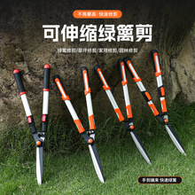 园林绿化园艺剪刀省力花木修花树木修剪树枝绿篱专用修枝剪篱笆