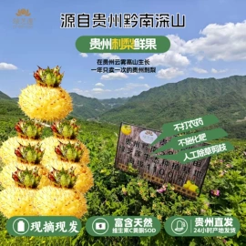刺梨/刺梨原浆;其他果干蜜饯;果冻