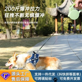 猫厕所;猫猫食具;仓鼠窝、笼