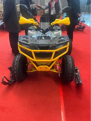 Заводной квадроцикл ATV снеговой колесо ATV 150 куб. см четырехколесный внедорожник 200 куб. см ATV квадроцикл вне дороги депозит